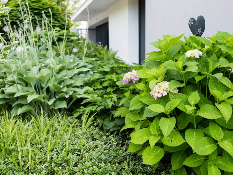 Hanggarten Gartengestaltung & Gartenplanung vom Profi STARKL